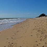 DSC01621