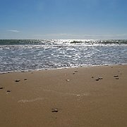 DSC01628