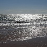 DSC01637