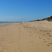 DSC01646