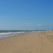 DSC01647