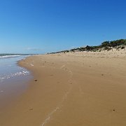 DSC01651