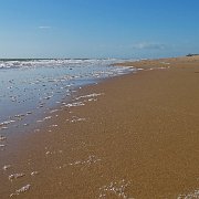 DSC01657