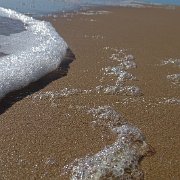 DSC01658