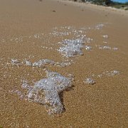 DSC01659