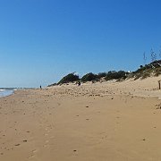 DSC01668