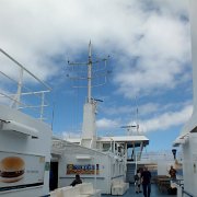 DSCF6905