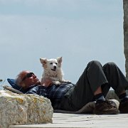 DSCF6936