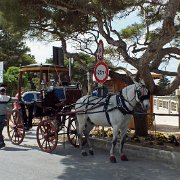 DSCF6958