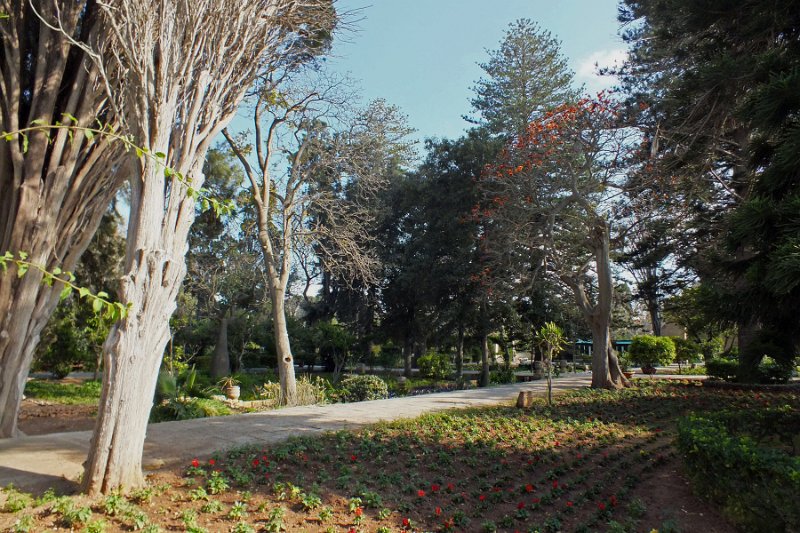 DSCF7403