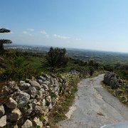 DSCF7138