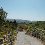 DSCF7140