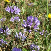 DSCF7186