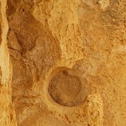 DSCF7211