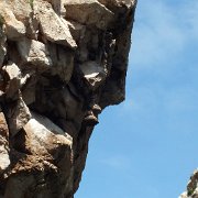 DSCF7283