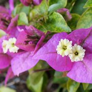 DSCF7374