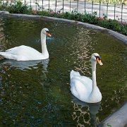 DSCF7384