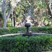 DSCF7439