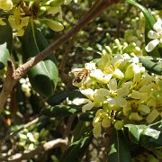 DSCF7448