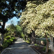 DSCF7449