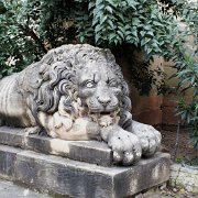 DSCF5623