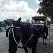 DSCF5717
