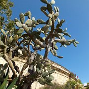 DSCF5800