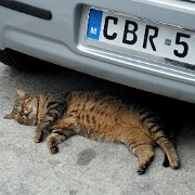 DSCF5915