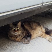 DSCF5916