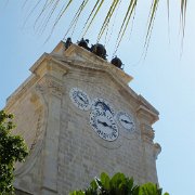 DSCF6204