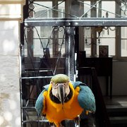 DSCF6216