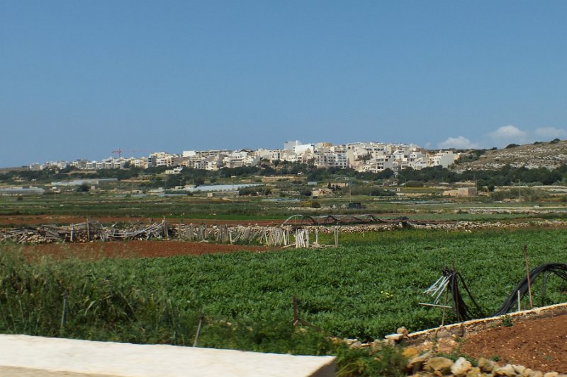 DSCF6345