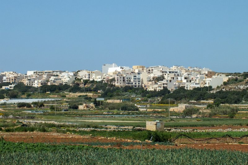 DSCF6346