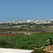 DSCF6345