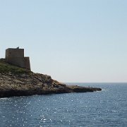 DSCF6467
