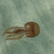 DSCF6482