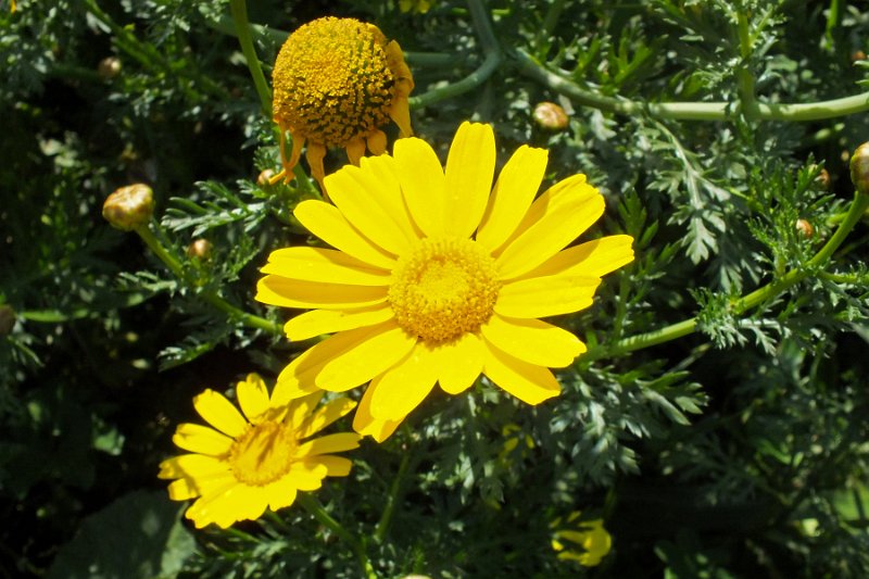 DSCF6792
