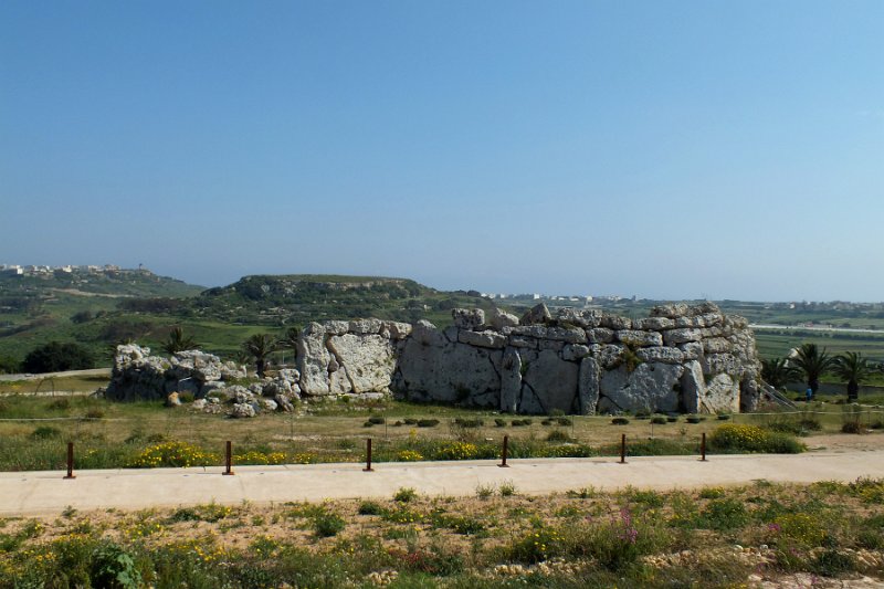 DSCF6803