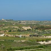 DSCF6647