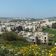 DSCF6652