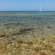 DSCF6772