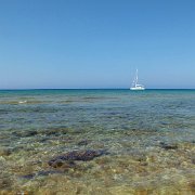 DSCF6780