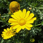 DSCF6792