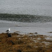 065-IMG_3549