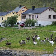 066-IMG_3566