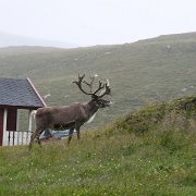 067-IMG_3582
