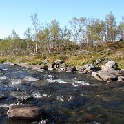 103-IMG_3831