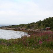 111-IMG_3884