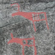116-IMG_3929