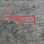 118-IMG_3935